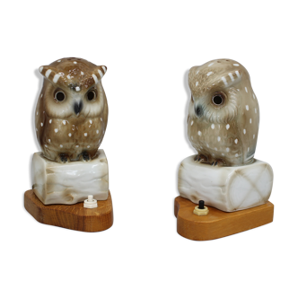 1930s Pair of Porcelain Owl Art Deco Table Lamps , Czechoslovakia