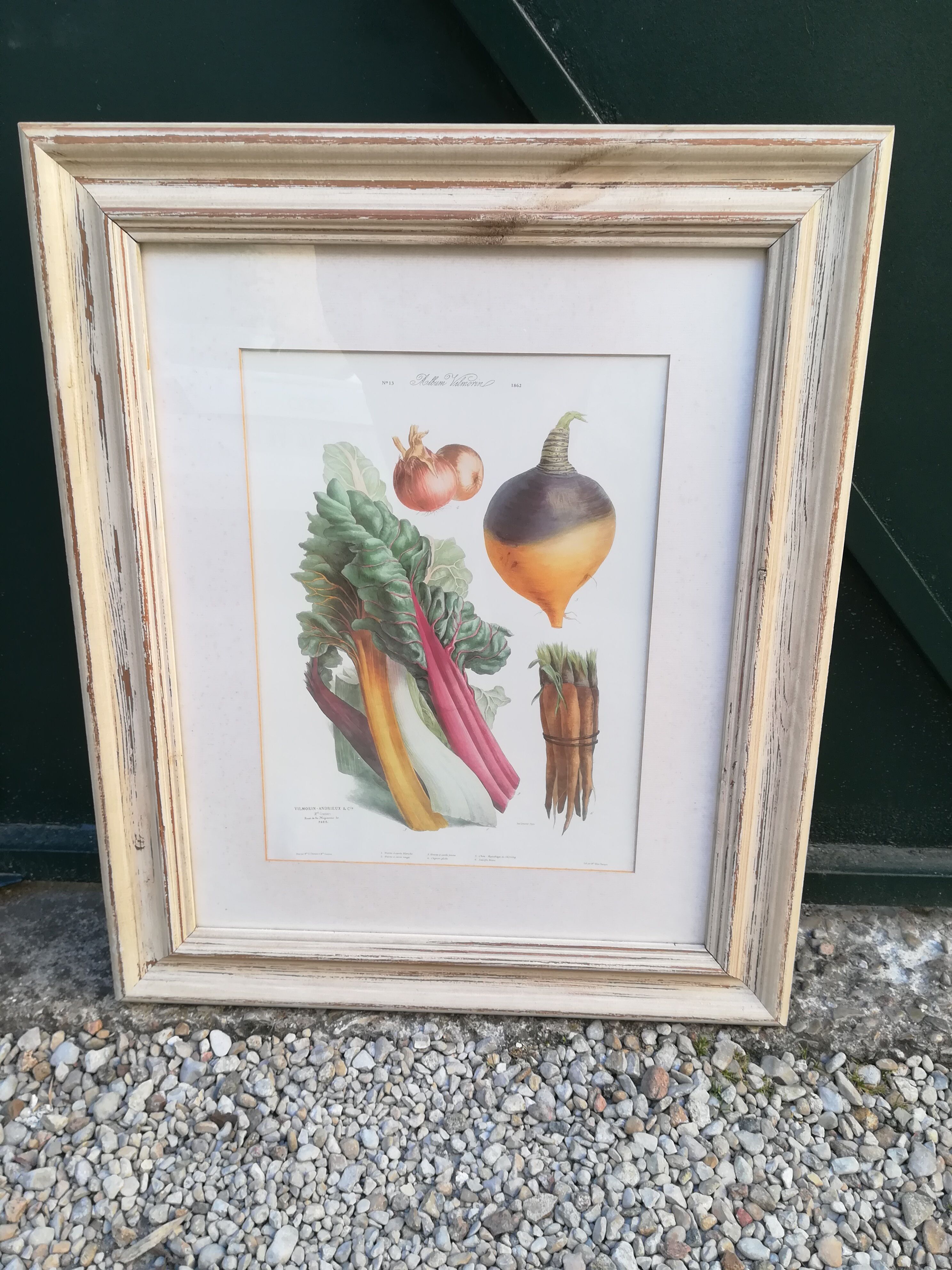Framed botanical plank, vegetables