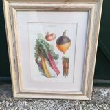 Framed botanical plank, vegetables