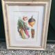 Framed botanical plank, vegetables