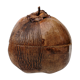 Empty vintage pocket - natural coconut