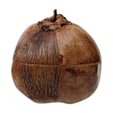 Empty vintage pocket - natural coconut