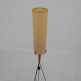Mid-Century Floor Lamp, Europe, 1960s, Restored