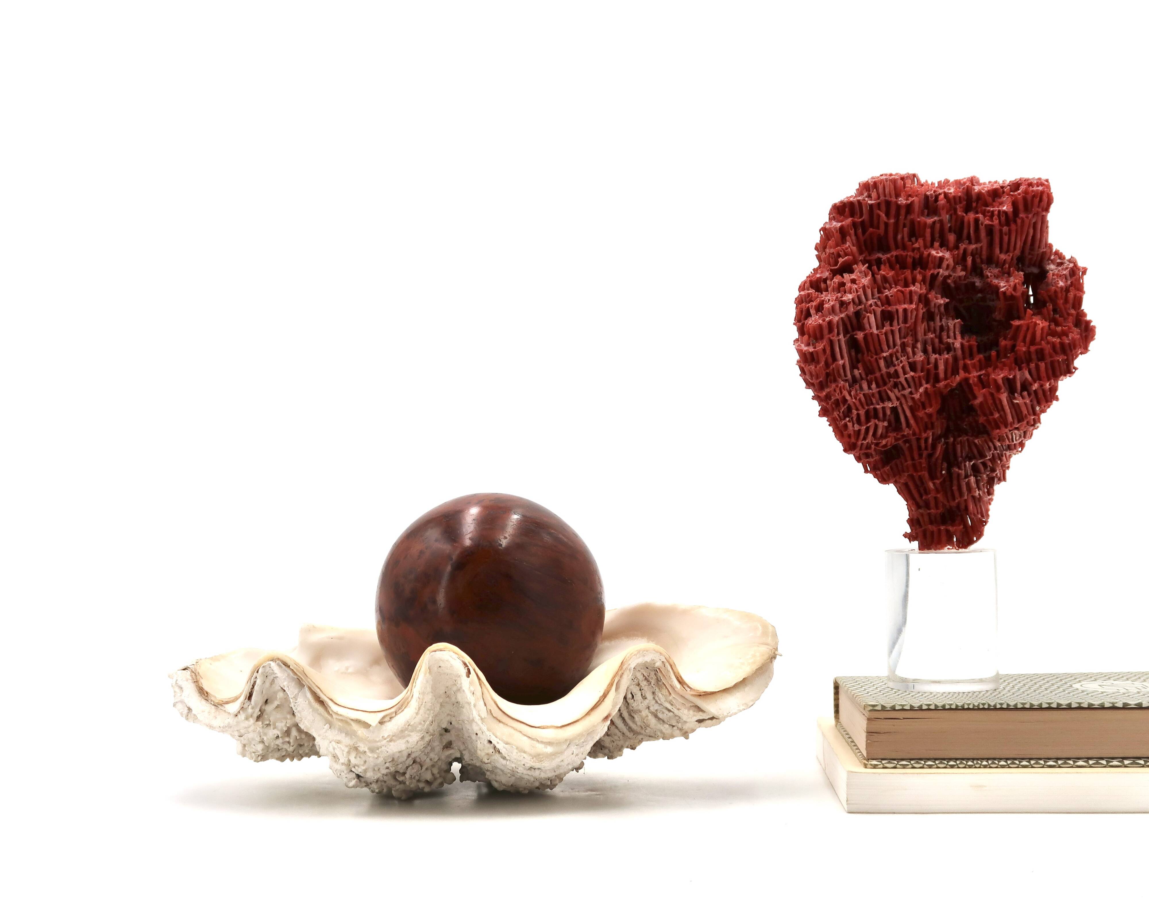 Holy water stoup shell emptier, 1970s