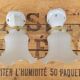 Pair of tulip and porcelain sconces