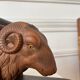 Pair of carved wooden bookends in the shape of ram's heads.