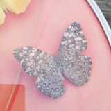 Round frame butterflies naturalized