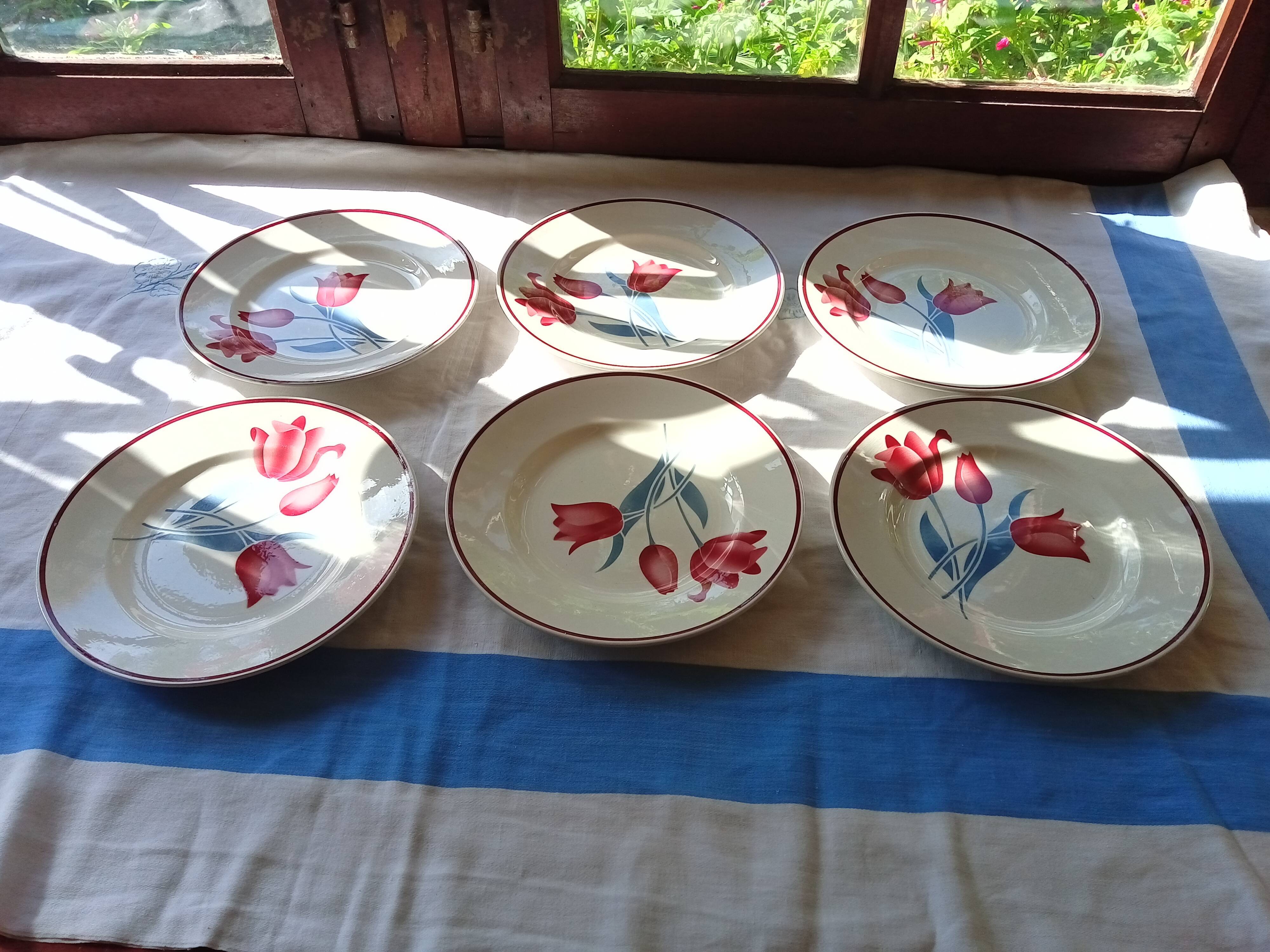 6 Terre de Fer flat plates