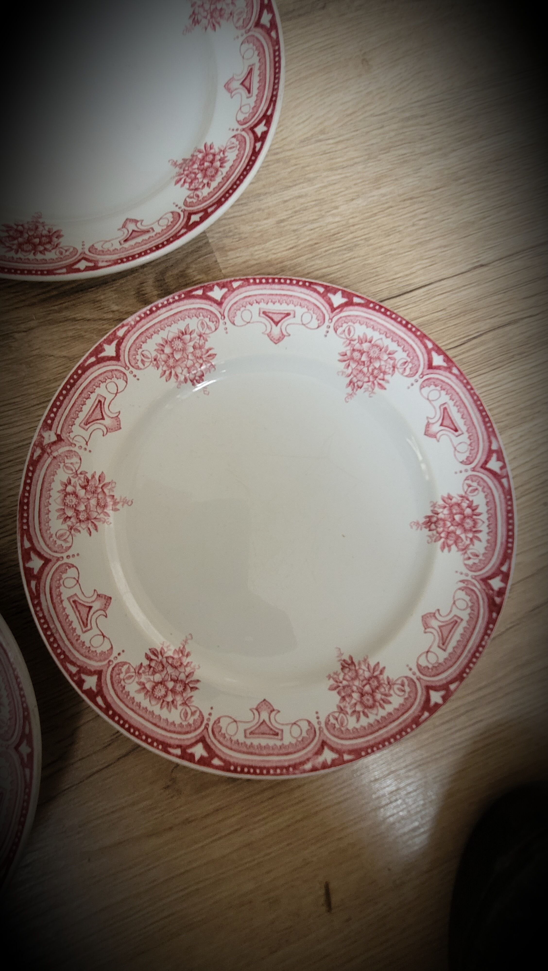 4 flat plates Narcissus