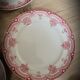 4 flat plates Narcissus