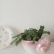 Bassano shell flowerpot