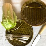 Suite of 6 asparagus plates in slurry earthenware
