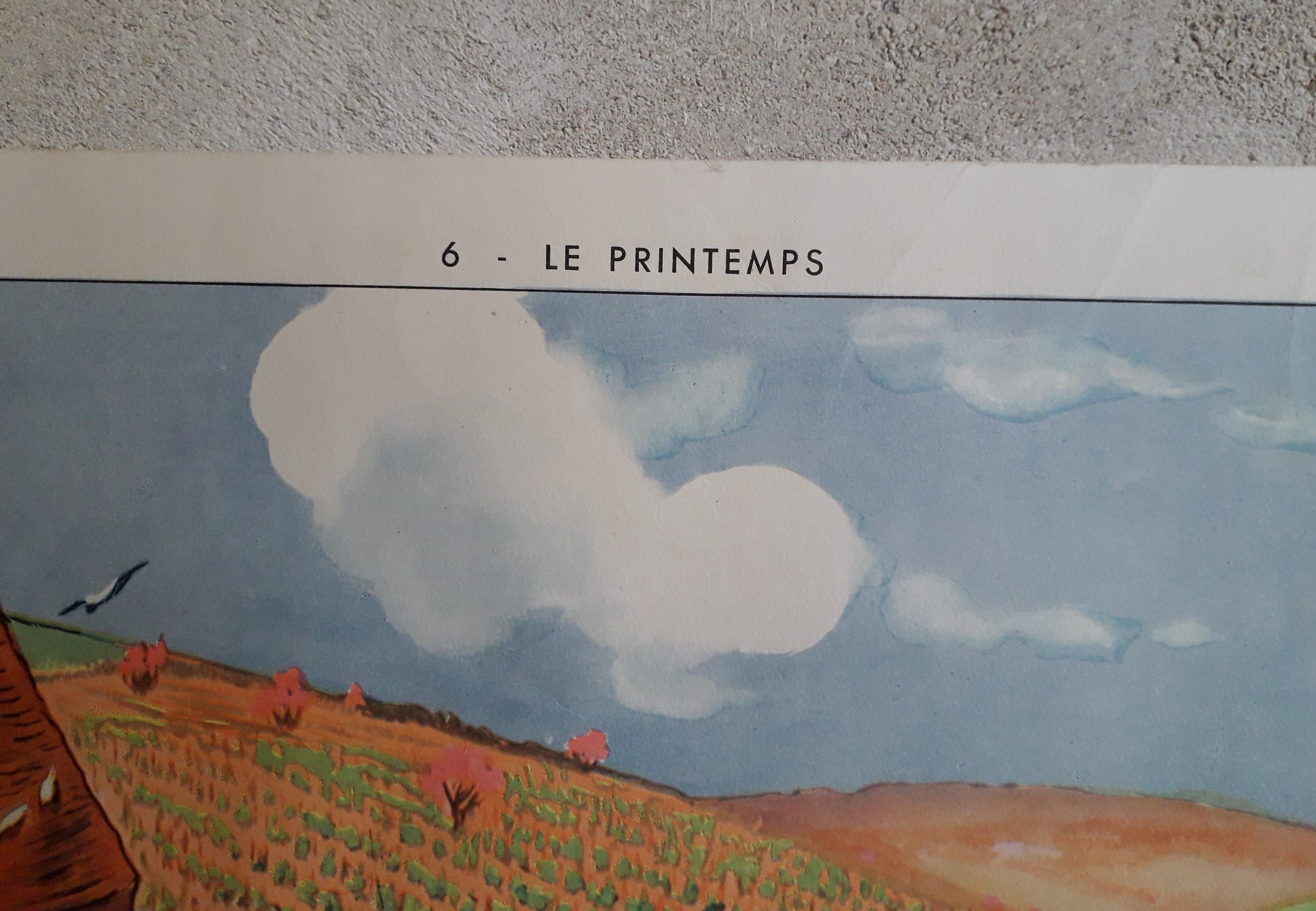 School poster 50s, Rossignol editions in winter and spring