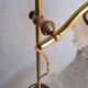 Tulip swan neck desk lamp in frosted glass
