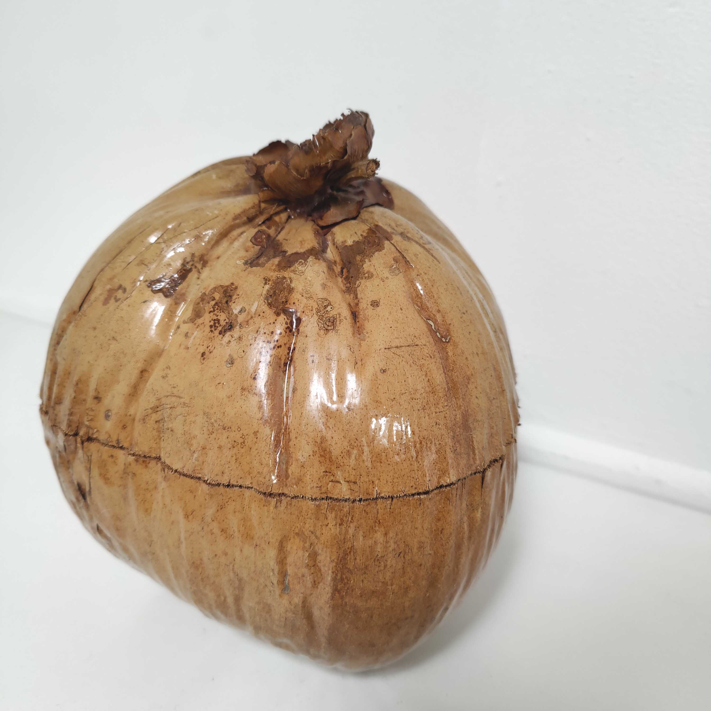 Vintage coconut ice bucket