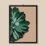 Illustration "Succulent #1" par Noums Atelier
