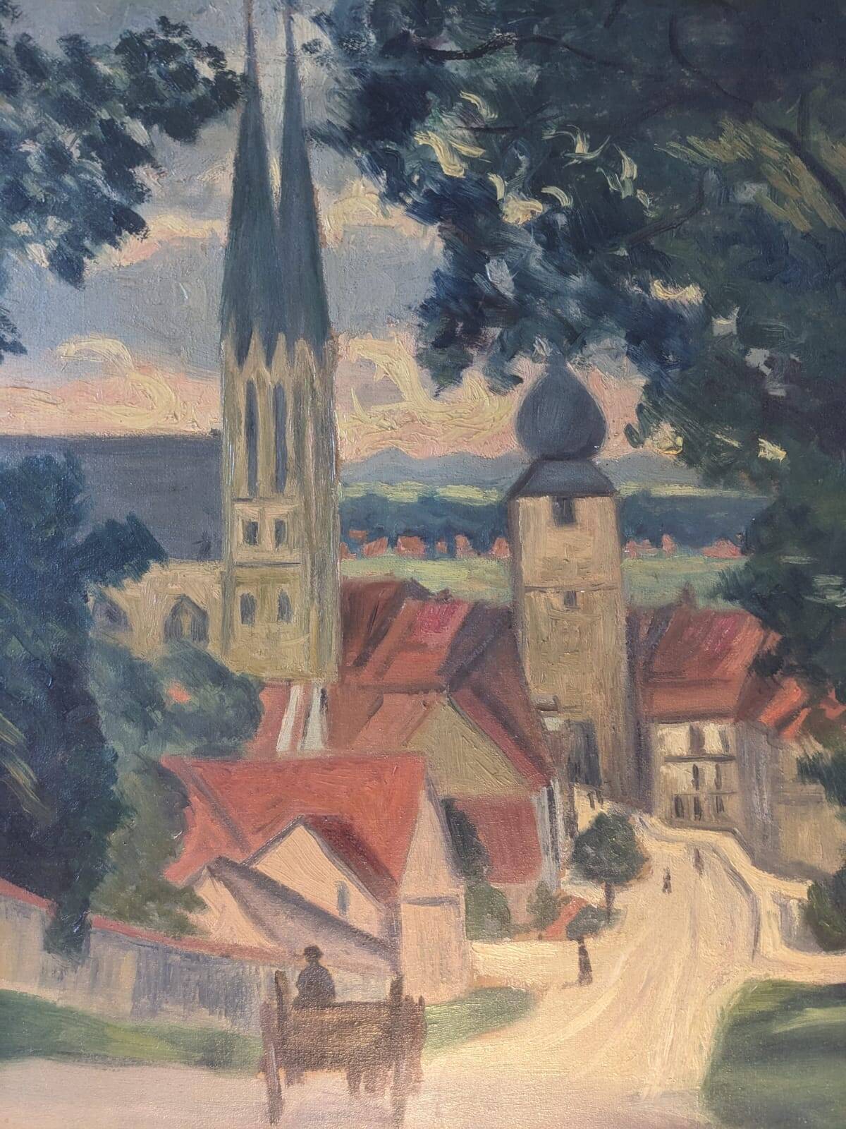 View of the town of Sarralbe (Moselle)