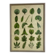 Large shabby chic botanical frame – Vintage poster leaves