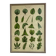 Large shabby chic botanical frame – Vintage poster leaves