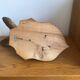 Taxidermy deer head