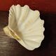Shell on base, holy water font