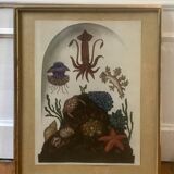 Framed illustration corals under globe