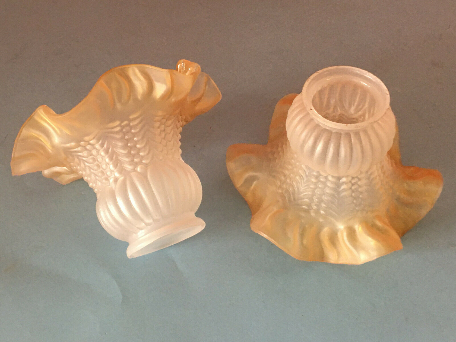 Lot de 2 verre de Lampe Corolle Vintage