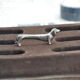 Holder knives dachshund silver metal goldsmiths