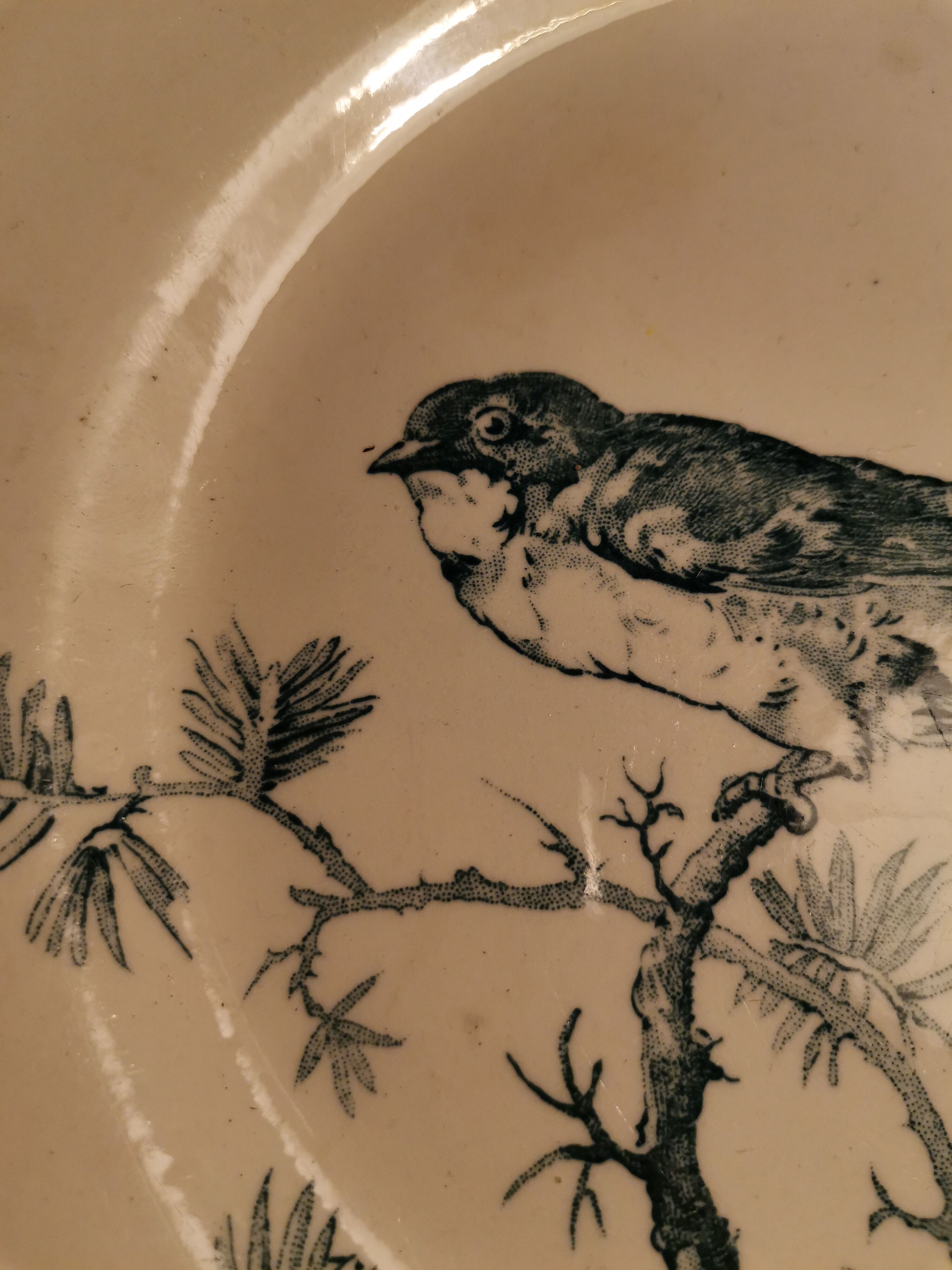 Plate Provencal Gien Bird