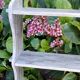 Relooked wooden shelf