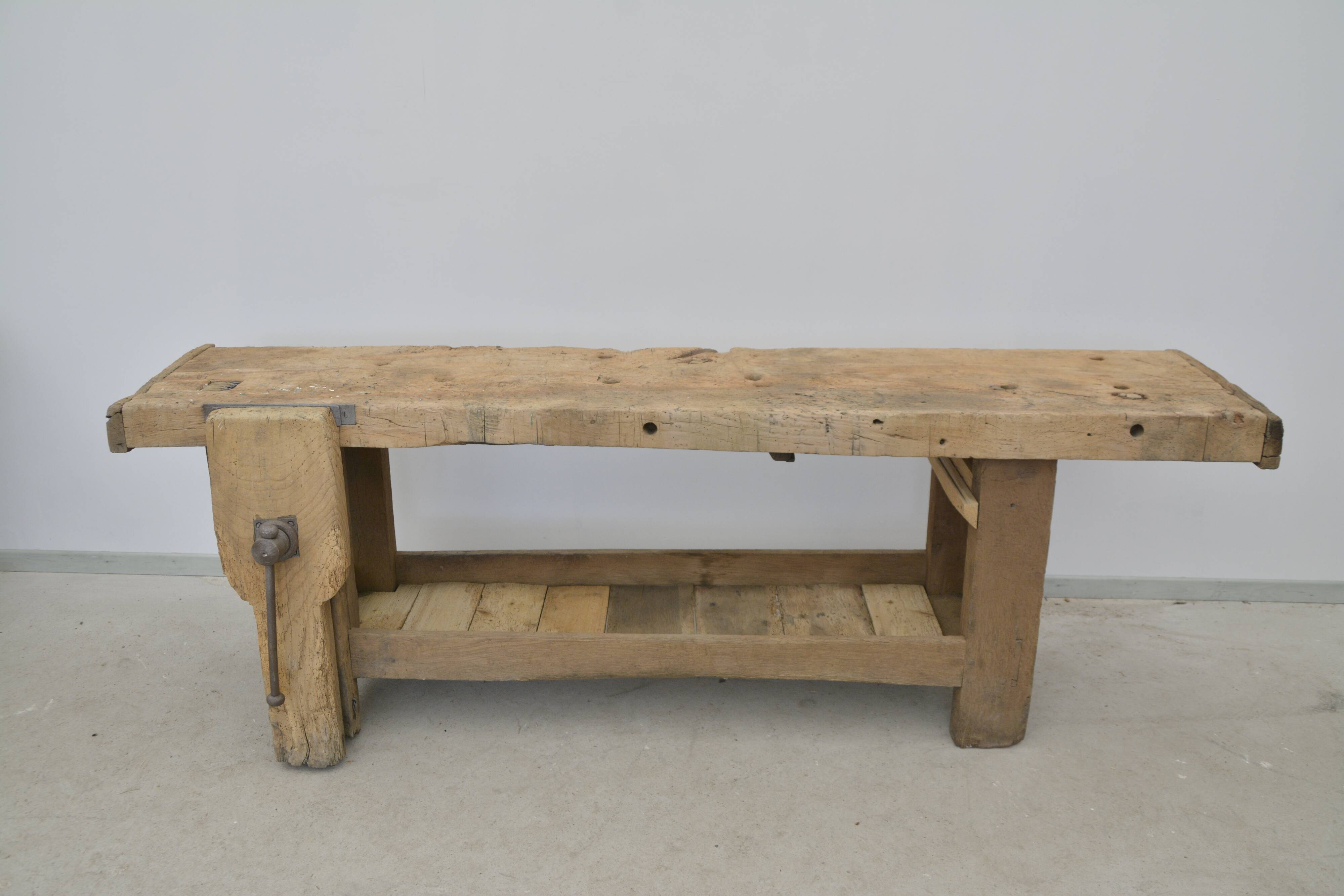 Oak establishment from the 30s