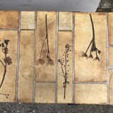 Vintage ceramic coffee table with herbarium decorations by Roger Capron, solid beech base.