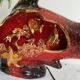Lampe de table amphore, lampe de chevet, style Vallauris, années 50