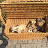 Toy box bench vintage rattan