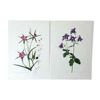 Duo of botanical plates