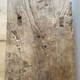 Old bench in elm
