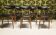 6 Vintage Unicorn Baumann Chairs 1960