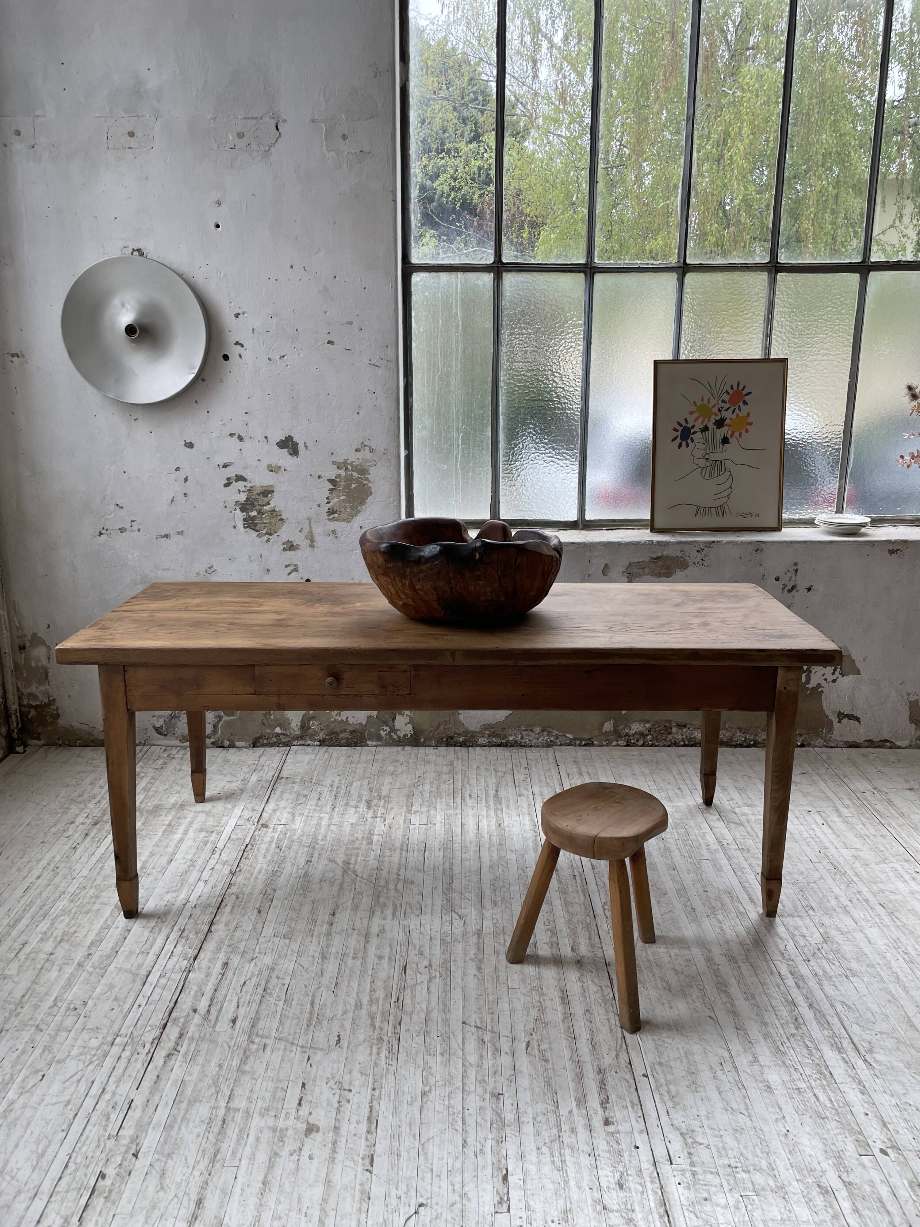 XL thuja root wooden dish