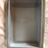 Blue vegetable in iron Earth