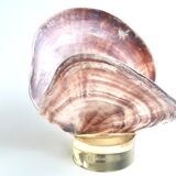 Shell on resin base, 70s