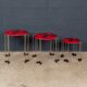 Italian set of 3 'fish design' tables from the triple play series, gaetano