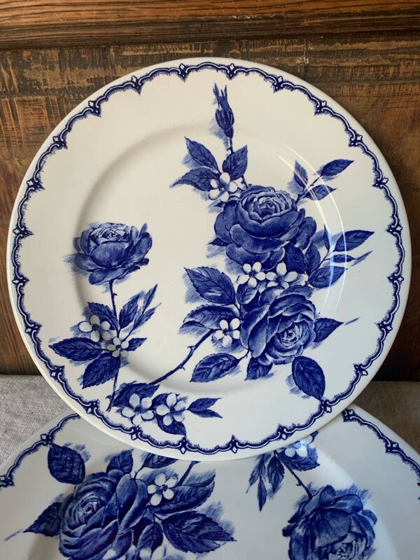 6 assiettes plates anglaises Staffordshire Victoria
