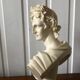 Apolon Bust