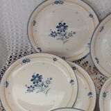10 assiettes plates anglaises BILTONS