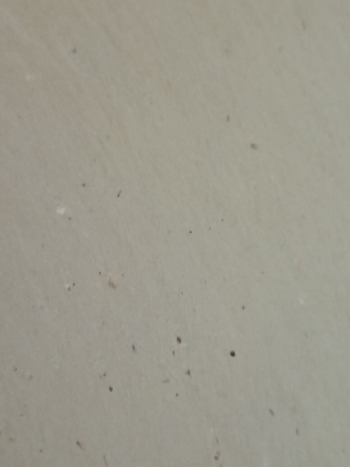 Rectangular educational poster, Brittany