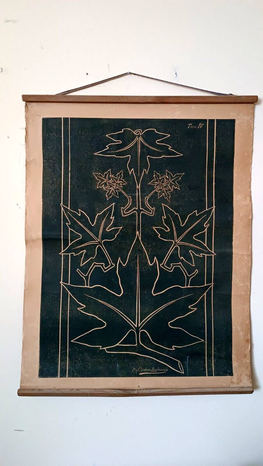 Antique print of a liberty plate by Prof. Andreani Isidoro - botanical plants, early 1900s