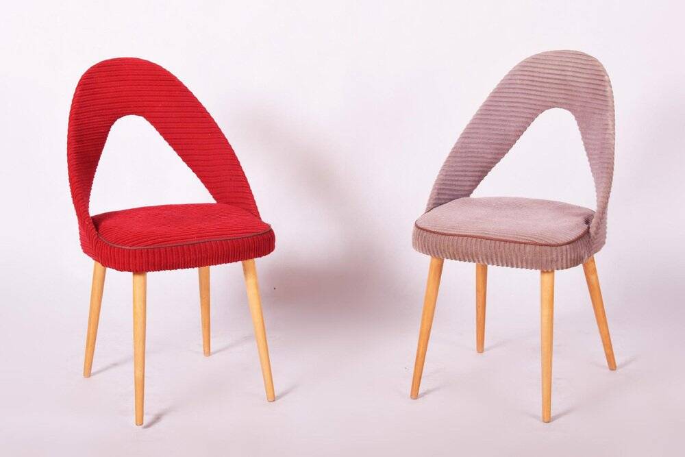 Chaises Mid-Century en hêtre, tchèque, années 1950, ensemble de 4