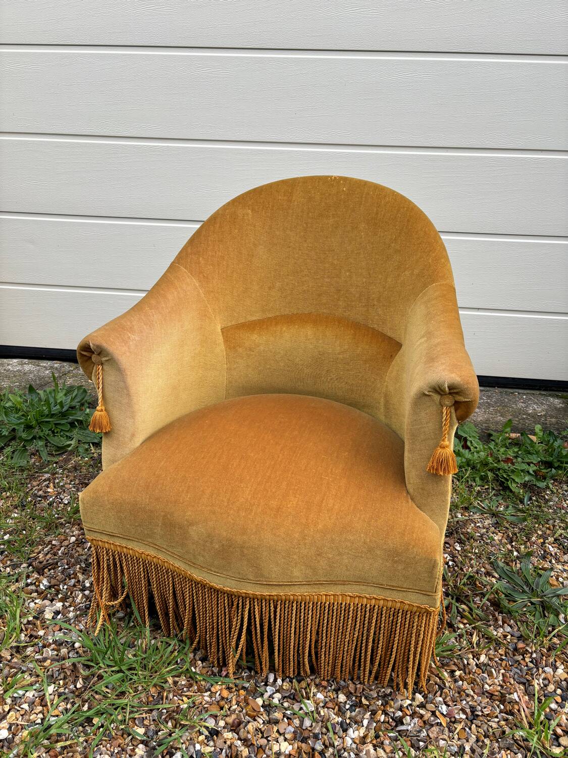Toad armchair in gold velvet