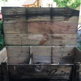 Wooden box Chocolate Foal