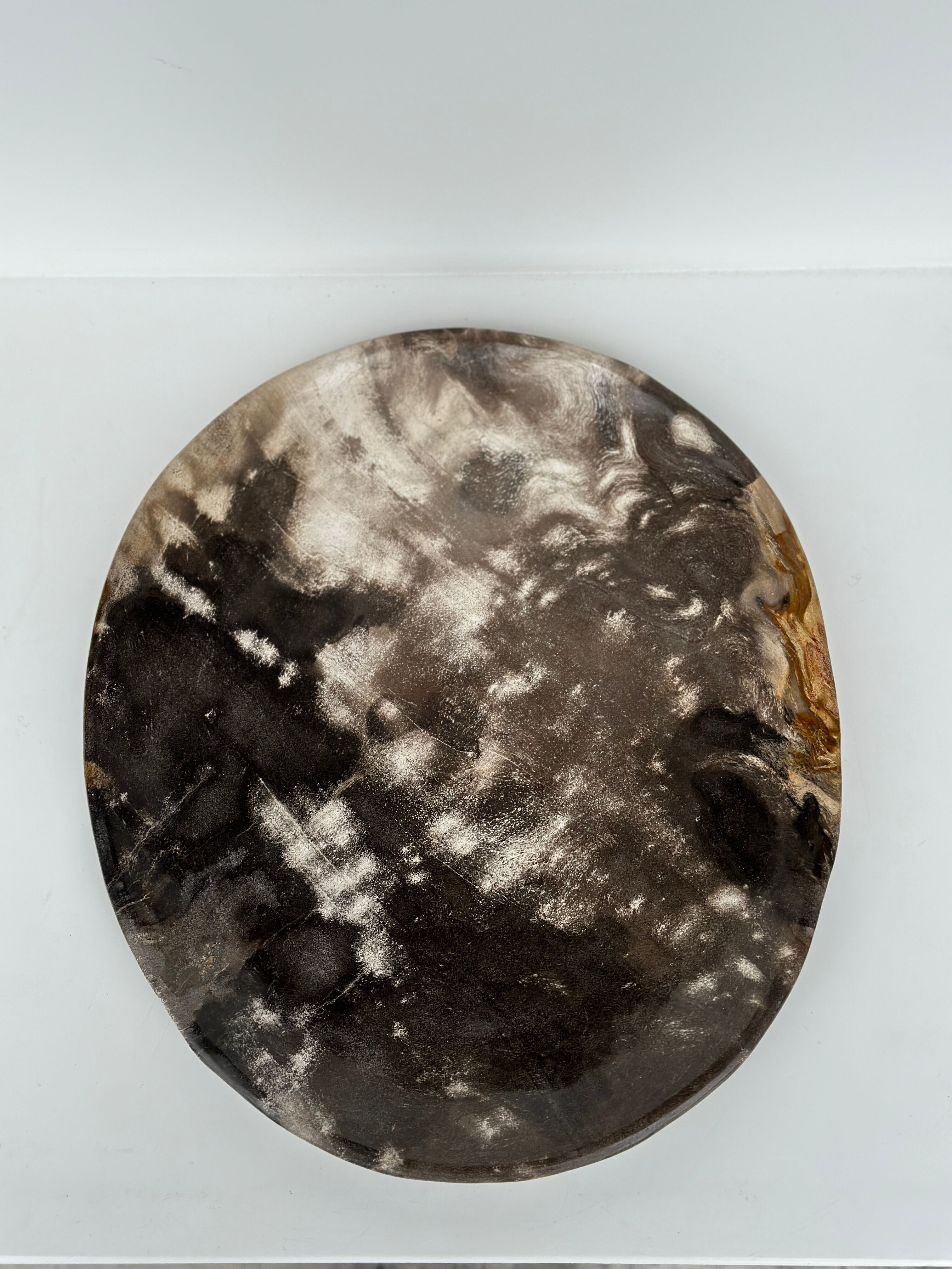 Dish in petrified wood